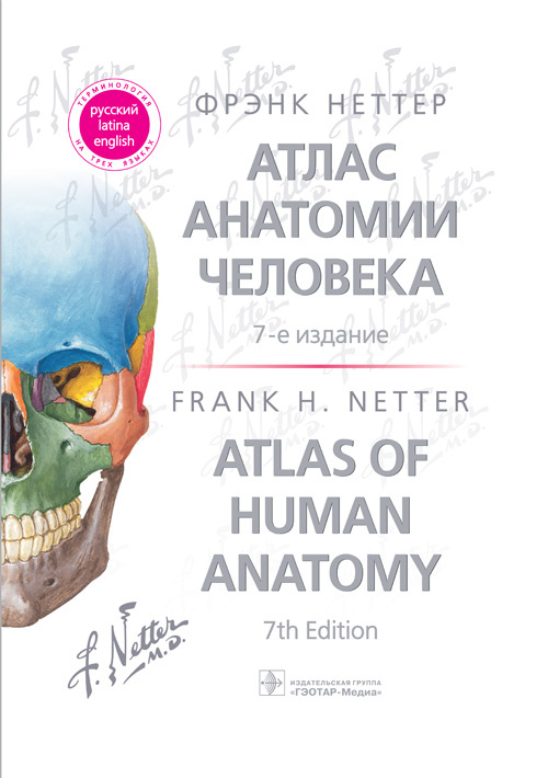  .    / Atlas of Human Anatomy 