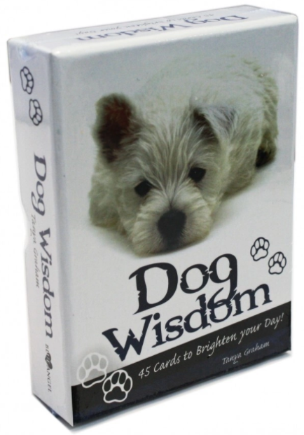 Tony Carmine Salerno     / Dog Wisdom Cards 