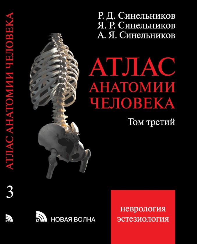 Синельников Р.Д., Синельников Я.Р., Синельников А.Я. Атлас анатомии человека. Т.3 (2021) 
