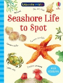 Sam Smith Seashore Life to Spot 