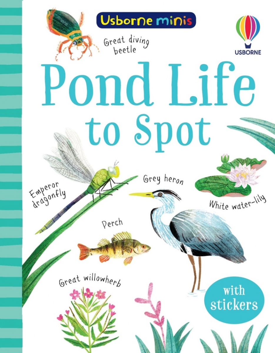 Kate Nolan Pond Life to Spot 