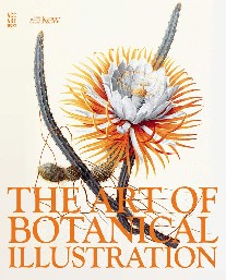 Stern, Blunt Art Of Botanical Illustration Hb 