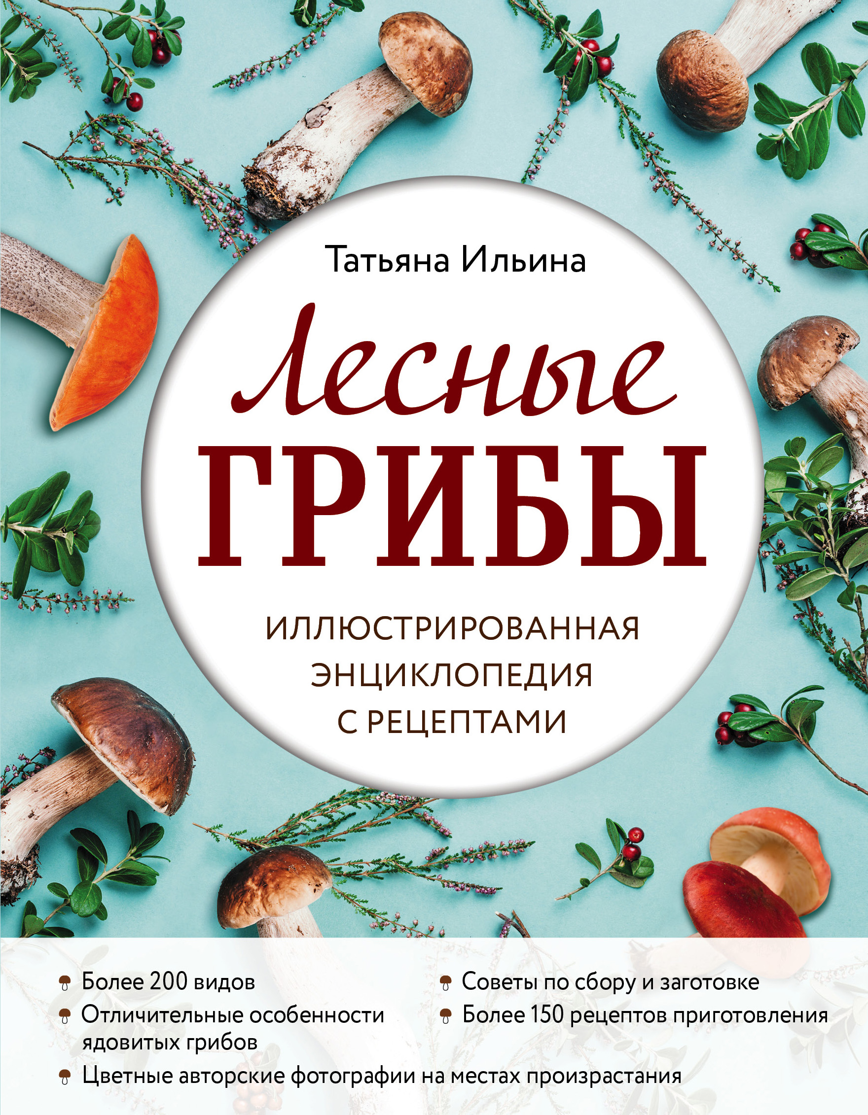 Ильина Т.А. Лесные грибы. Иллюстрированная энциклопедия с рецептами 