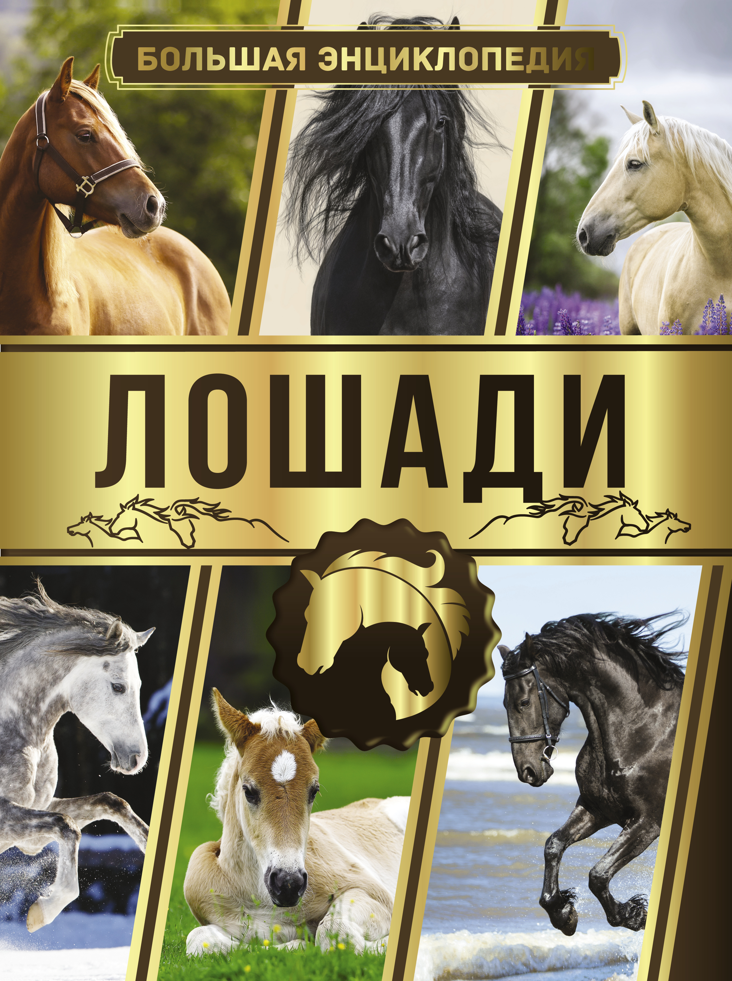 Невзоров Лошади Энциклопедия Книга Купить В Москве