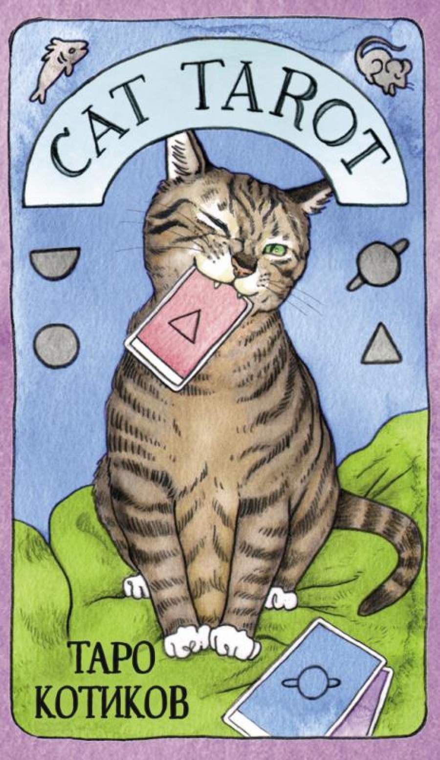 Линн Котт М. Cat Tarot. Таро Котиков (78 карт и руководство в подарочном футляре) 