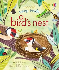 Peep Inside A Bird'S Nest 