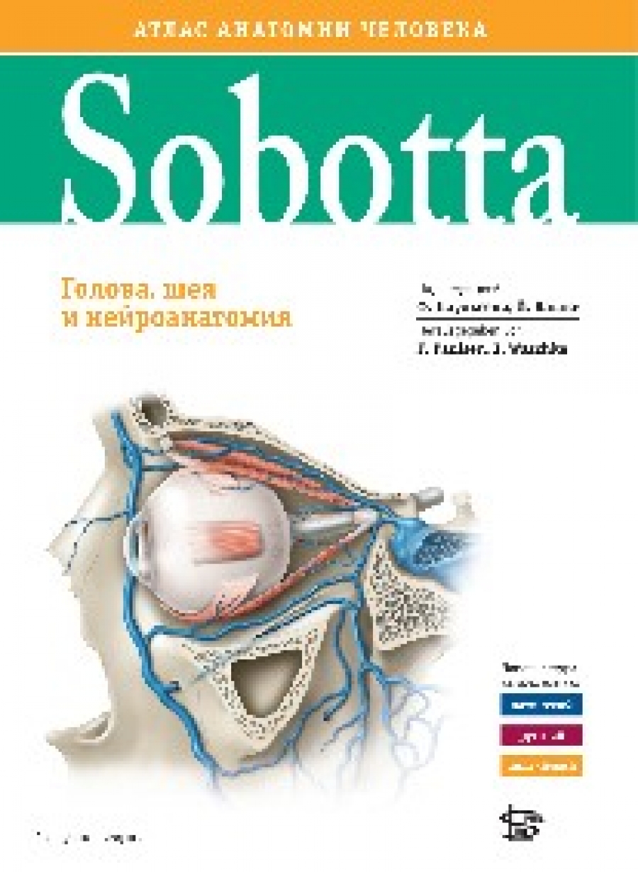  . , .  Sobotta.     3,  .2 