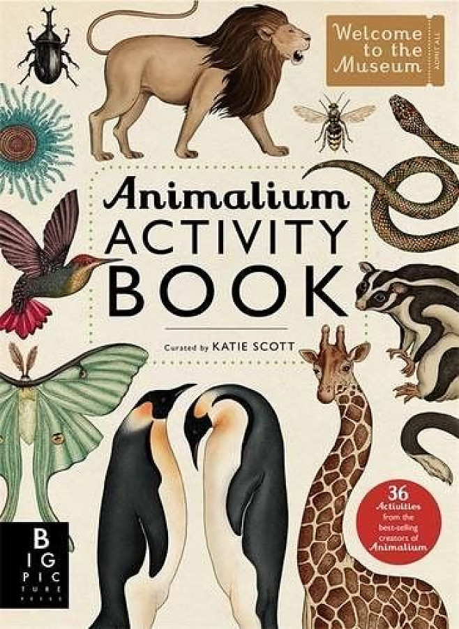 Scott, Katie Animalium Activity Book (Welcome to the Museum) 
