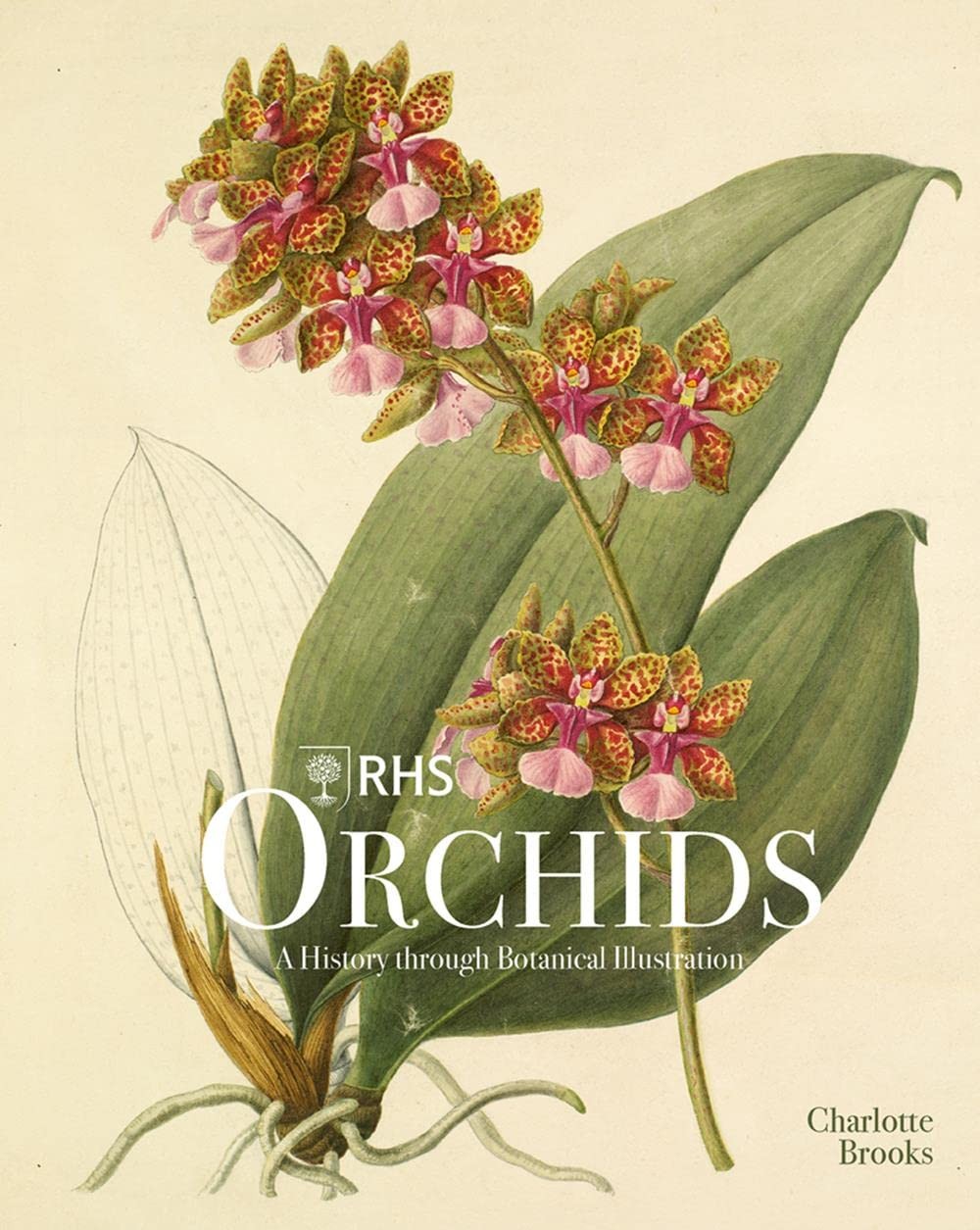 Brooks, Charlotte RHS Orchids 