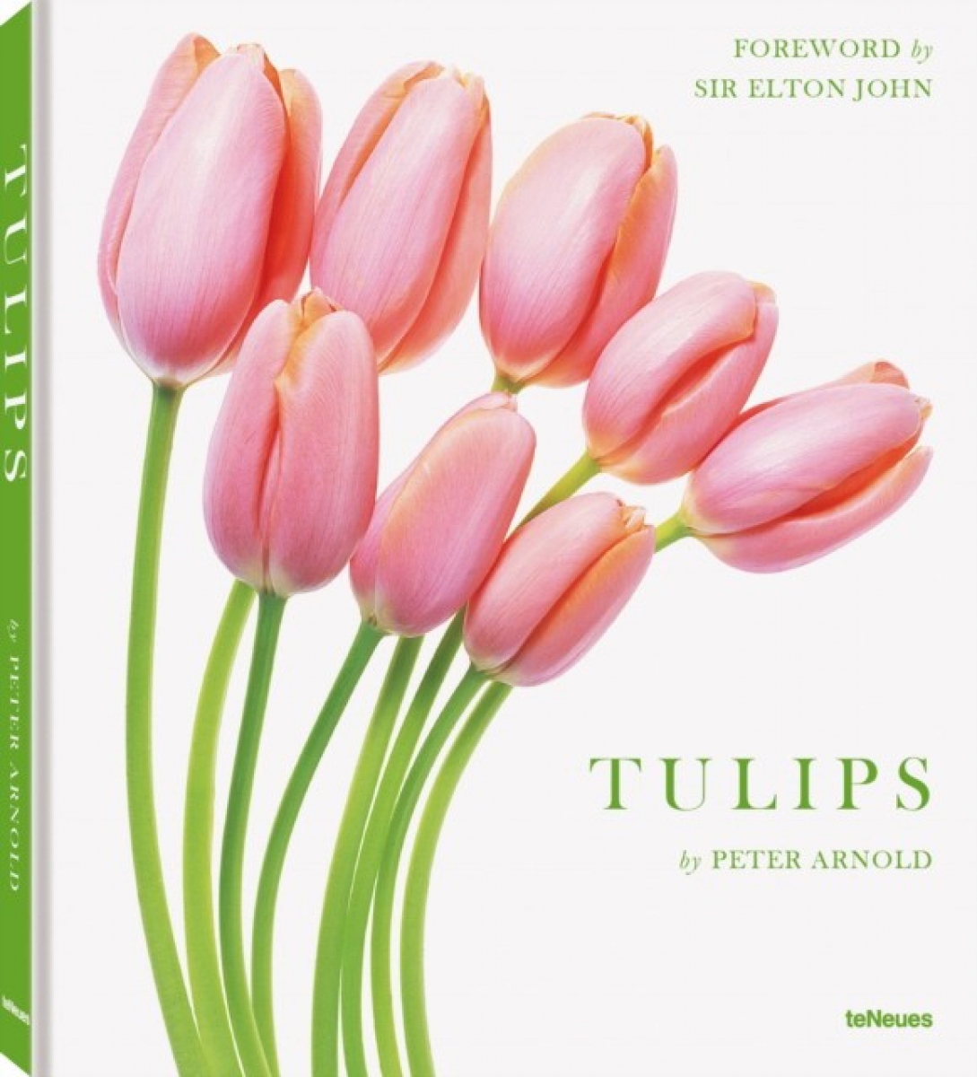 Peter, Arnold Tulips 