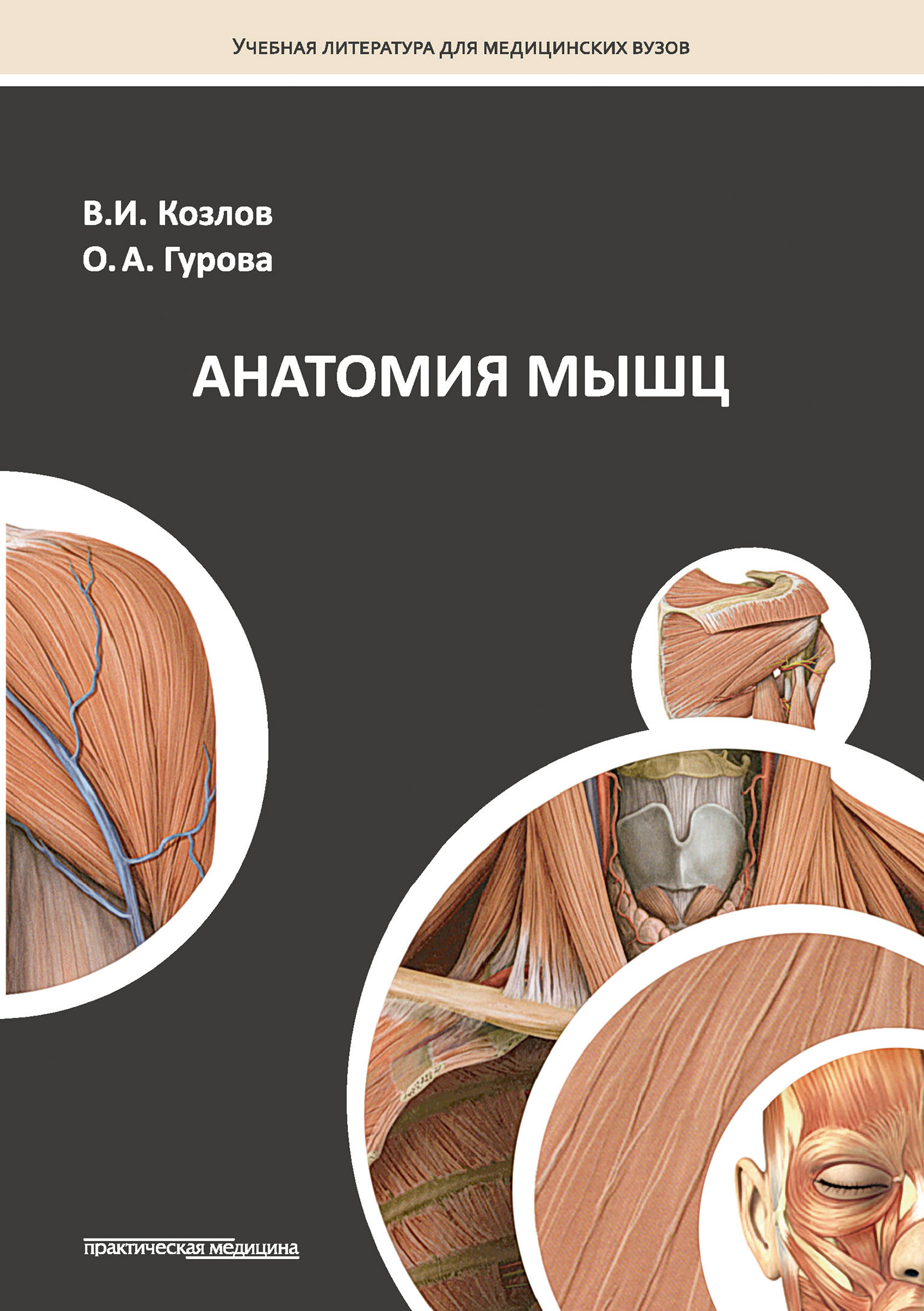 Козлов В.И., Гурова О.А. Анатомия мышц 