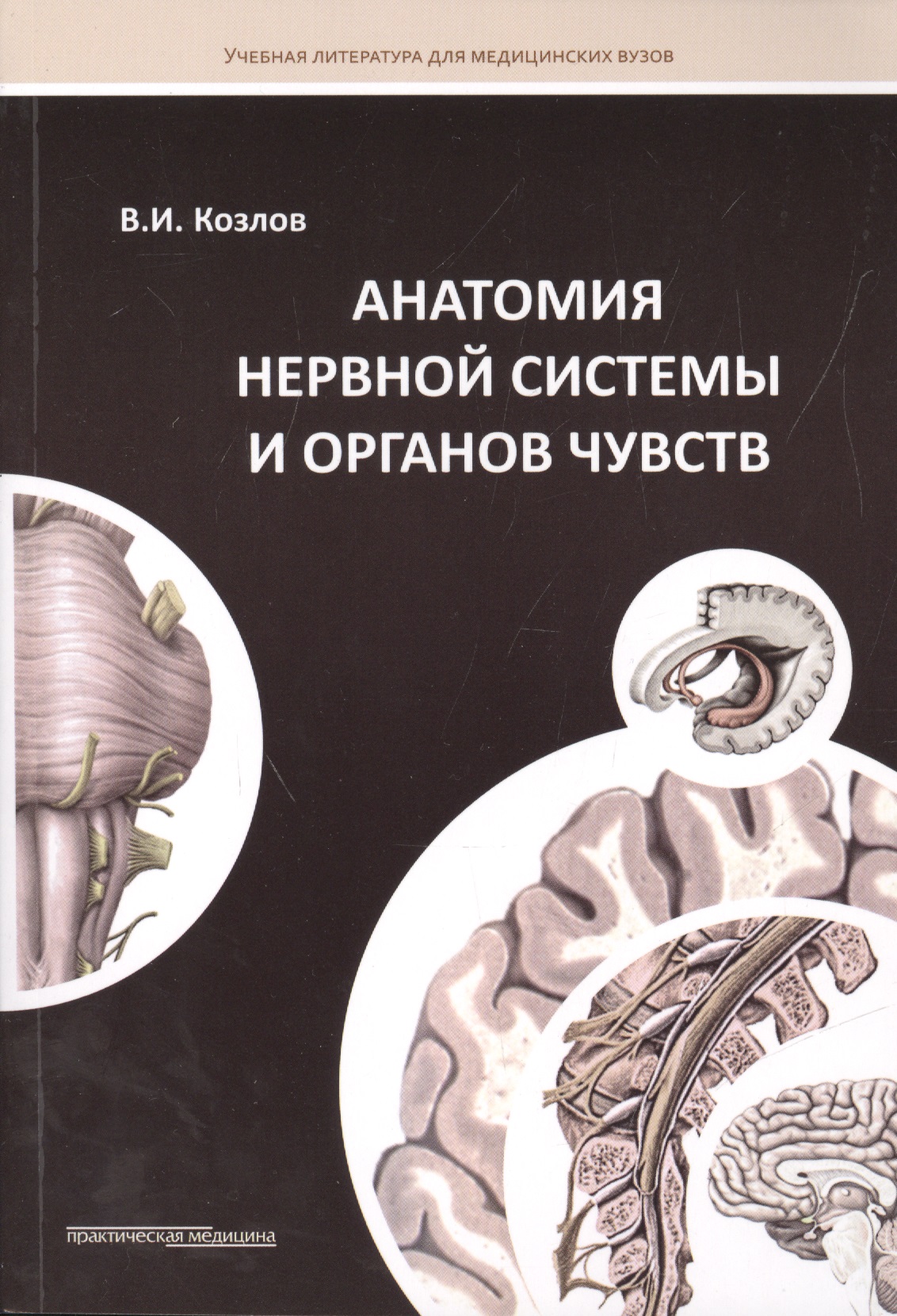 Козлов В.И. Анатомия нервной системы и органов чувств 
