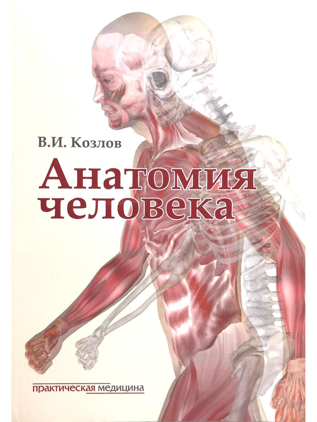 Козлов В.И. Анатомия человека 