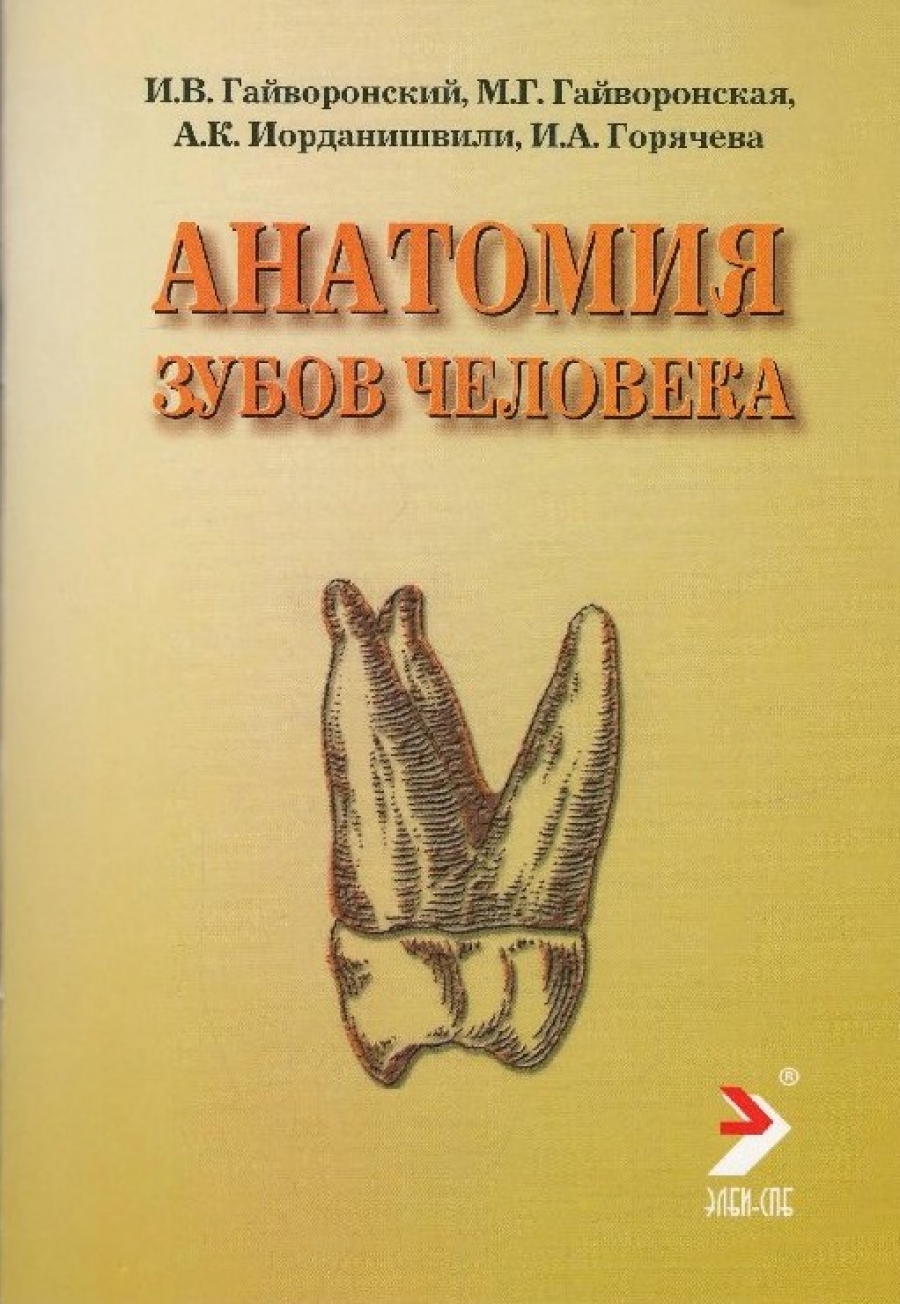 Гайворонский И.В., Иорданишвили А.К., Гайворонская М.Г. Анатомия зубов человека 