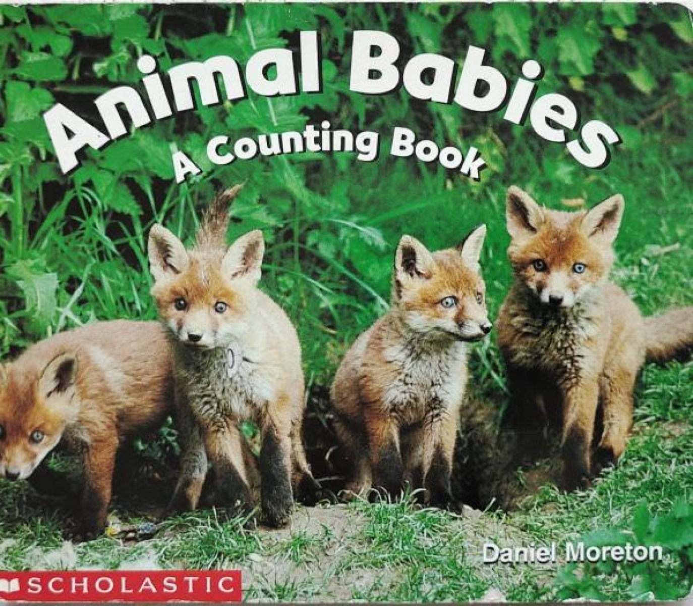    Animal Babies: Counting Book 