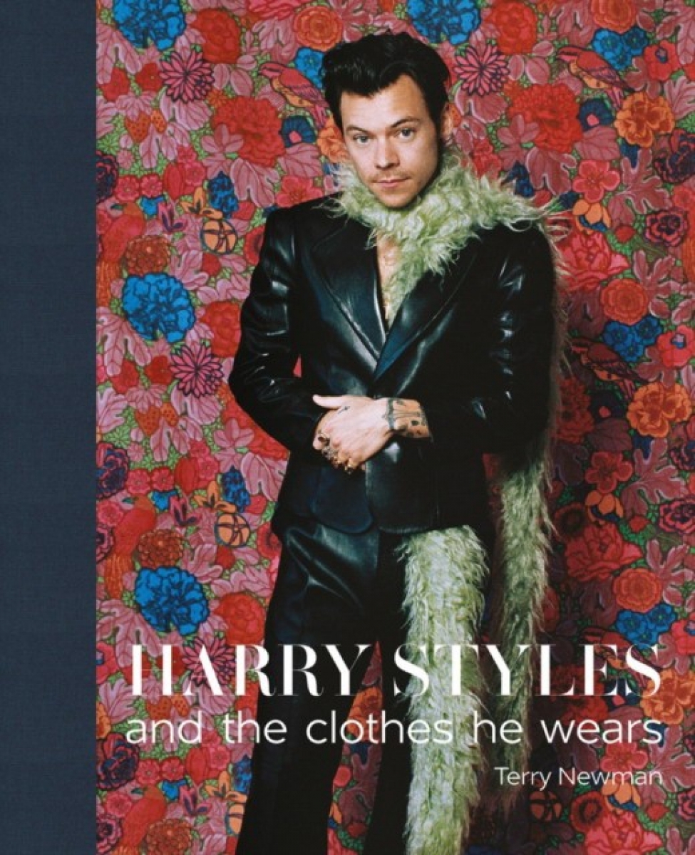 Terry, Newman Harry styles: and the clothes he wears 