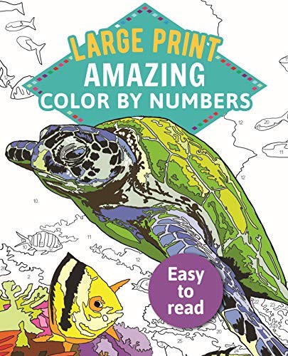 Arcturus Publishing Amazing Color-By-Numbers Large Print: Large Print 