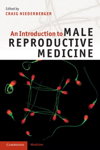 Niederberger An Introduction to Male Reproductive Medicine 