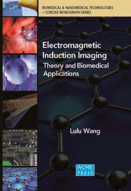 Lulu, Wang Electromagnetic induction imaging : 
