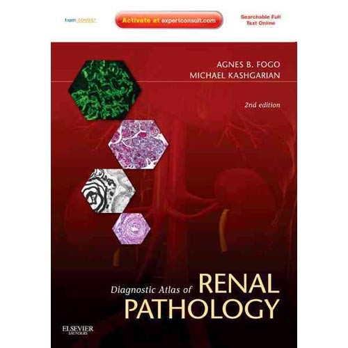 Agnes B. Fogo Diagnostic Atlas of Renal Pathology, 