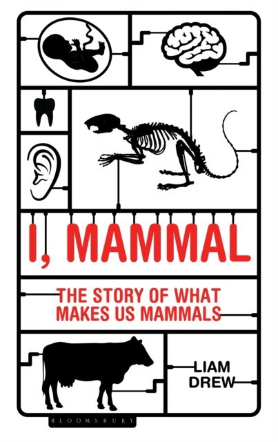 Drew Liam I, Mammal: The Story of What Makes Us Mammals 