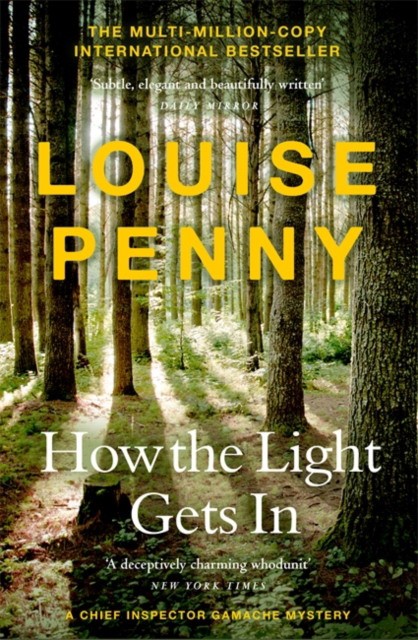 Penny Louise How the light gets in 