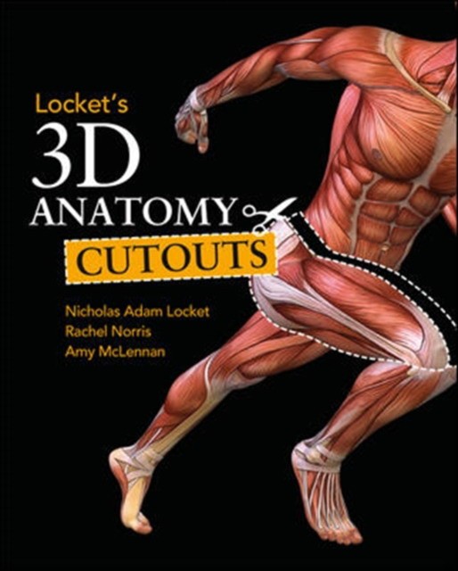 Locket Lockets 3D Anatomy Cutouts 