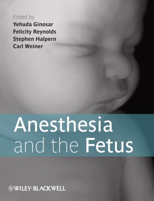 Ginosar Anesthesia and the Fetus 
