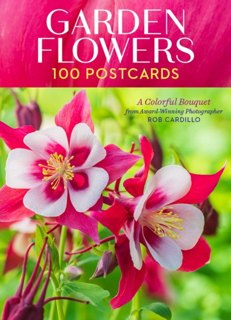 Rob Cardillo Garden Flowers, 100 Postcards 