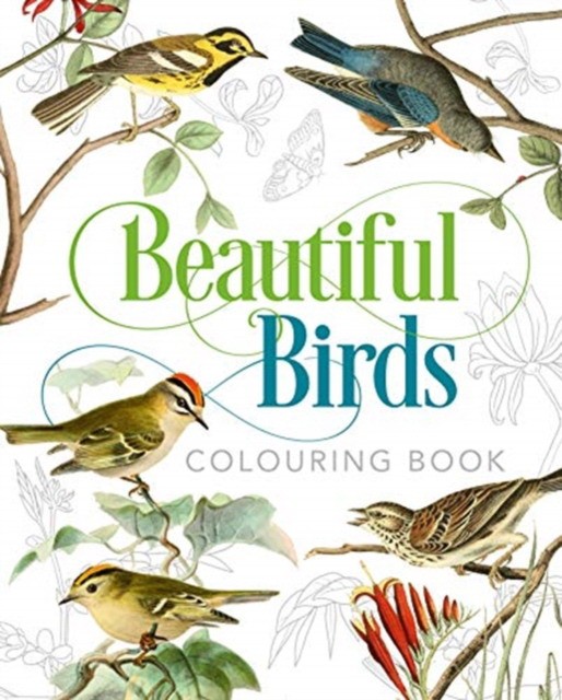 Peter, Gray Beautiful Birds Colouring Book 