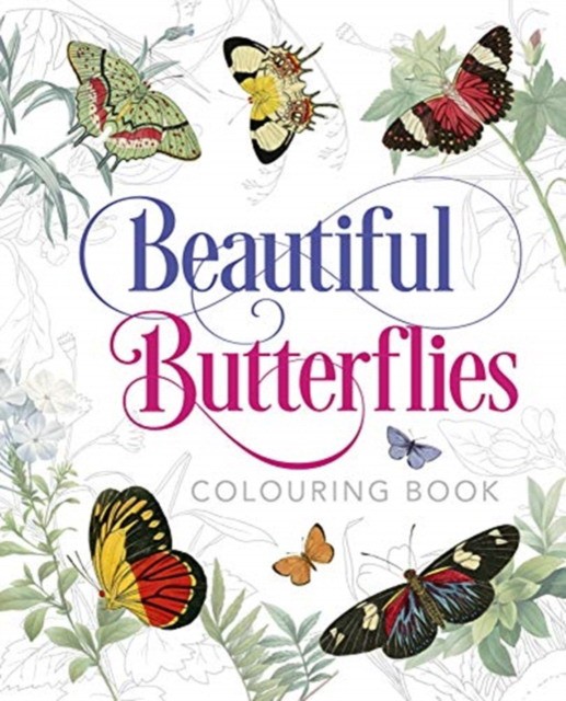 Peter, Gray Beautiful Butterflies Colouring Book 