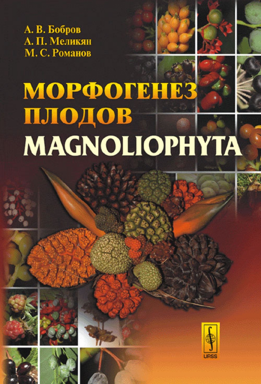  ..,  ..,  ..   Magnoliophyta 