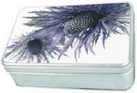 Anness Simply Flowers Tinbox: Sea Holly 