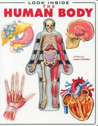 Luann Colombo Look Inside: The Human Body 