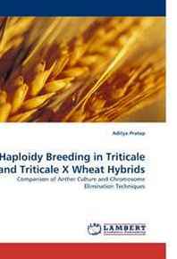 Aditya Pratap Haploidy Breeding in Triticale and Triticale X Wheat Hybrids 