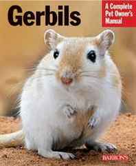 Englebert Kotter Gerbils (Complete Pet Owner's Manual) 
