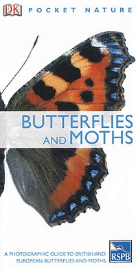 Paul Sterry, Andrew Mackay Butterflies and Moths 
