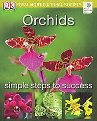 Liz Johnson Orchids 