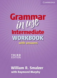 Grammar in Use Intermediate  Third edition Workbook with answers 