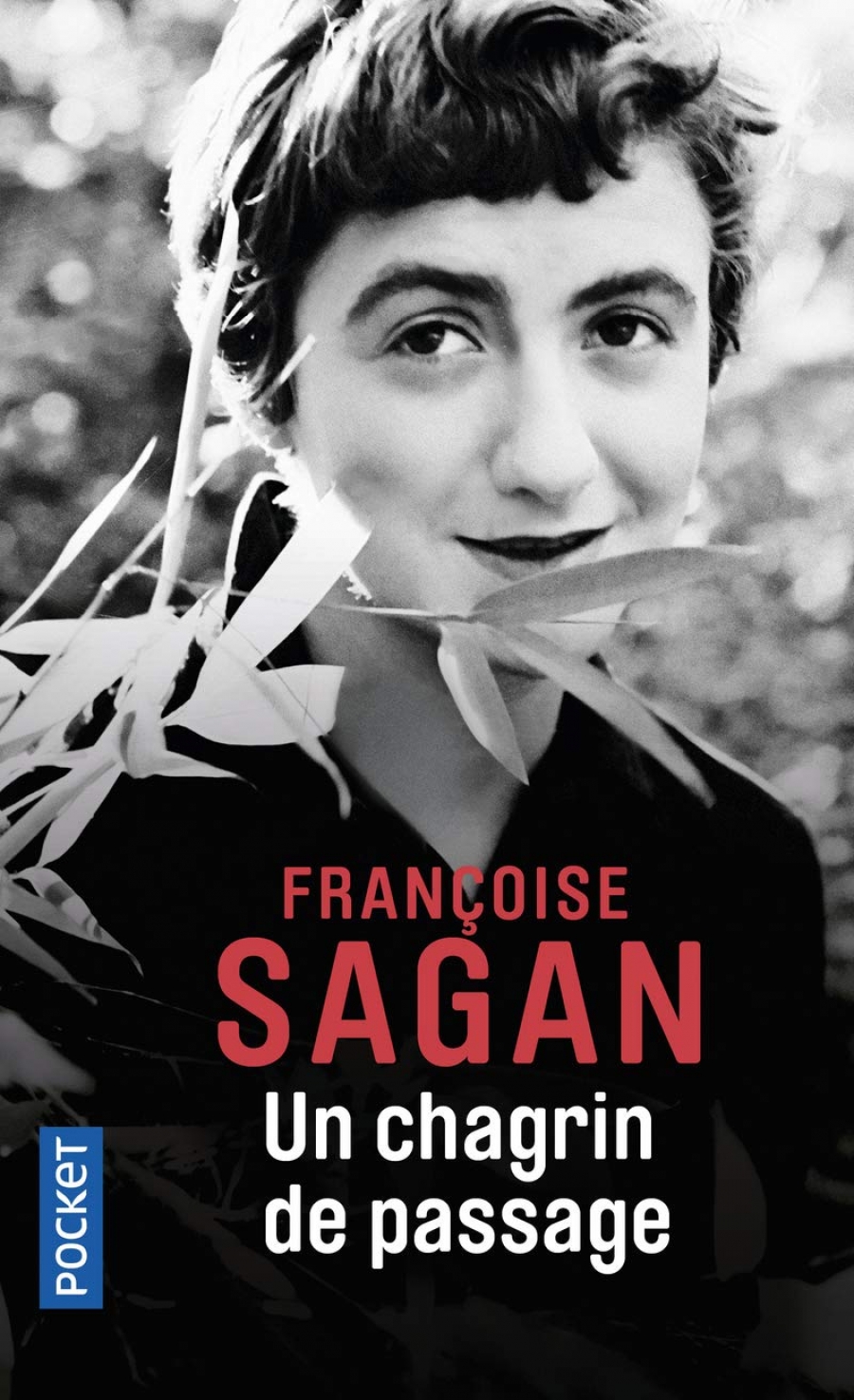 Francoise S. Un Chagrin de Passage 