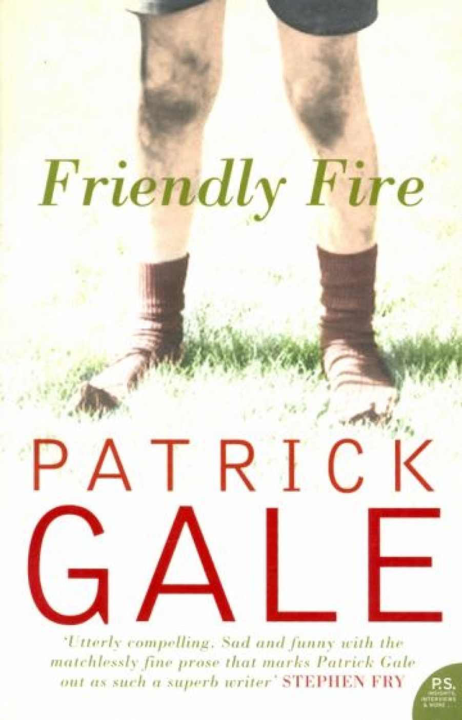 Patrick Gale Friendly Fire 