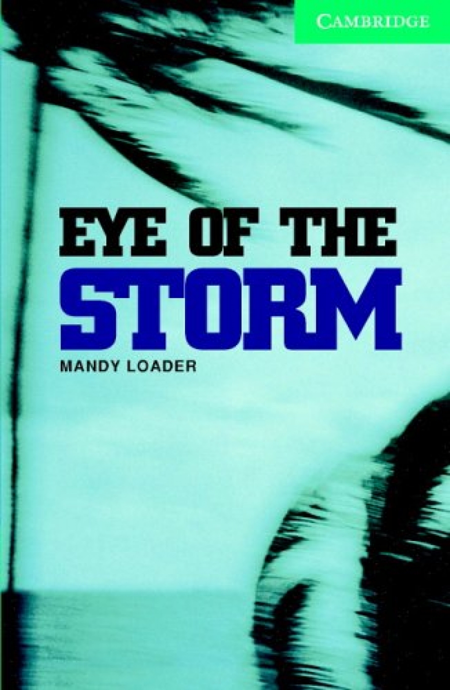 Mandy Loader Eye of the Storm (with Audio CD) 
