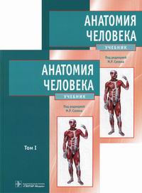 Анатомия Человека Г Л Битич Купить