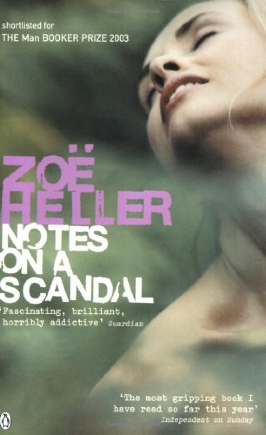 Heller Z: Notes On A Scandal 