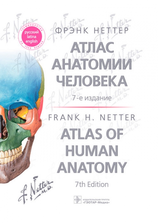 Неттер Ф. Атлас анатомии человека / Atlas of Human Anatomy 