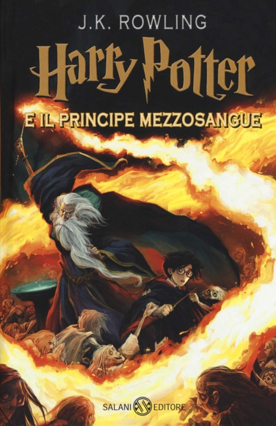    Harry Potter e il Principe Mezzosangue 6 