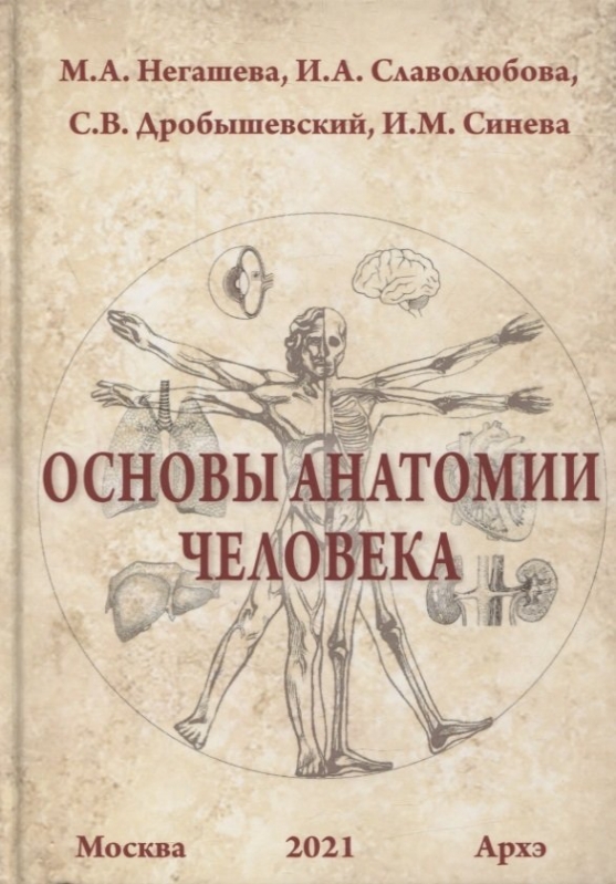 Дробышевский С.В., Негашева М.А., Слаболюбова И.А Основы анатомии человека 