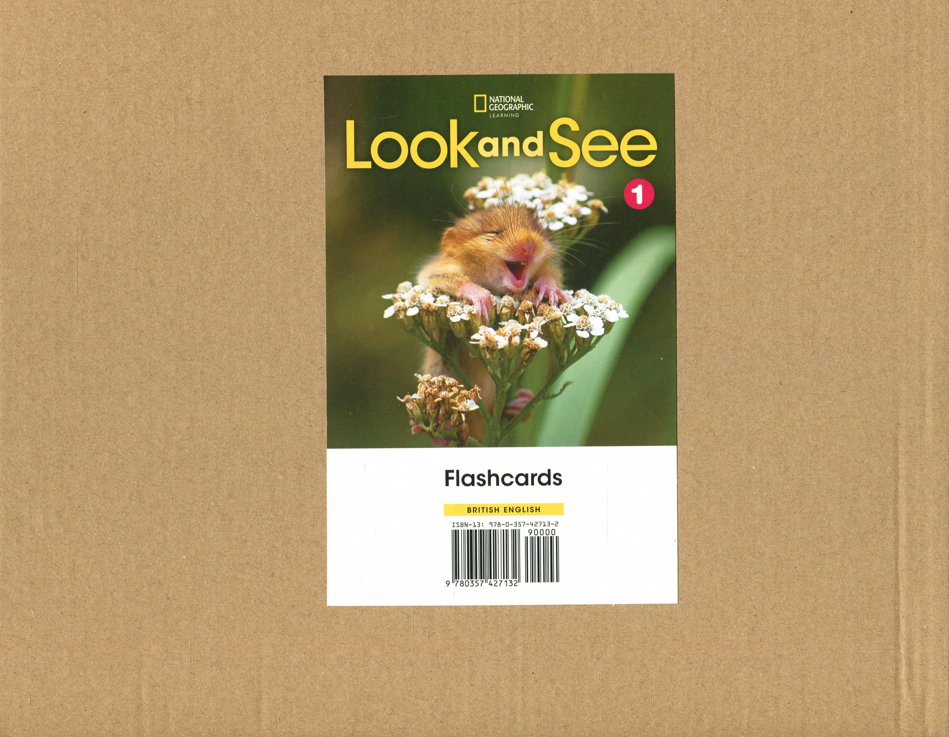 Reed S. Look and See 1 Flashcards 