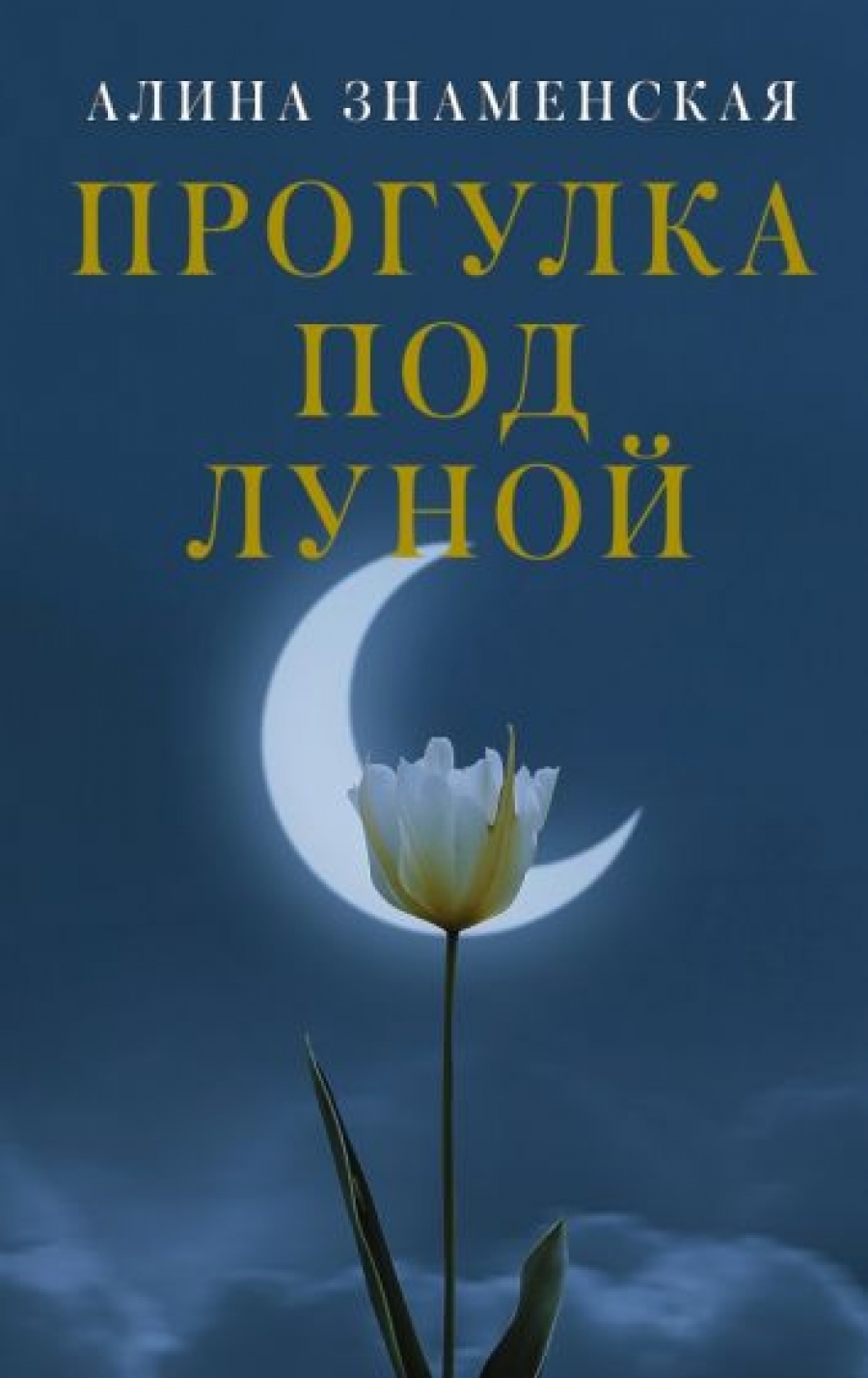 Знаменская А. Прогулка под луной: роман 
