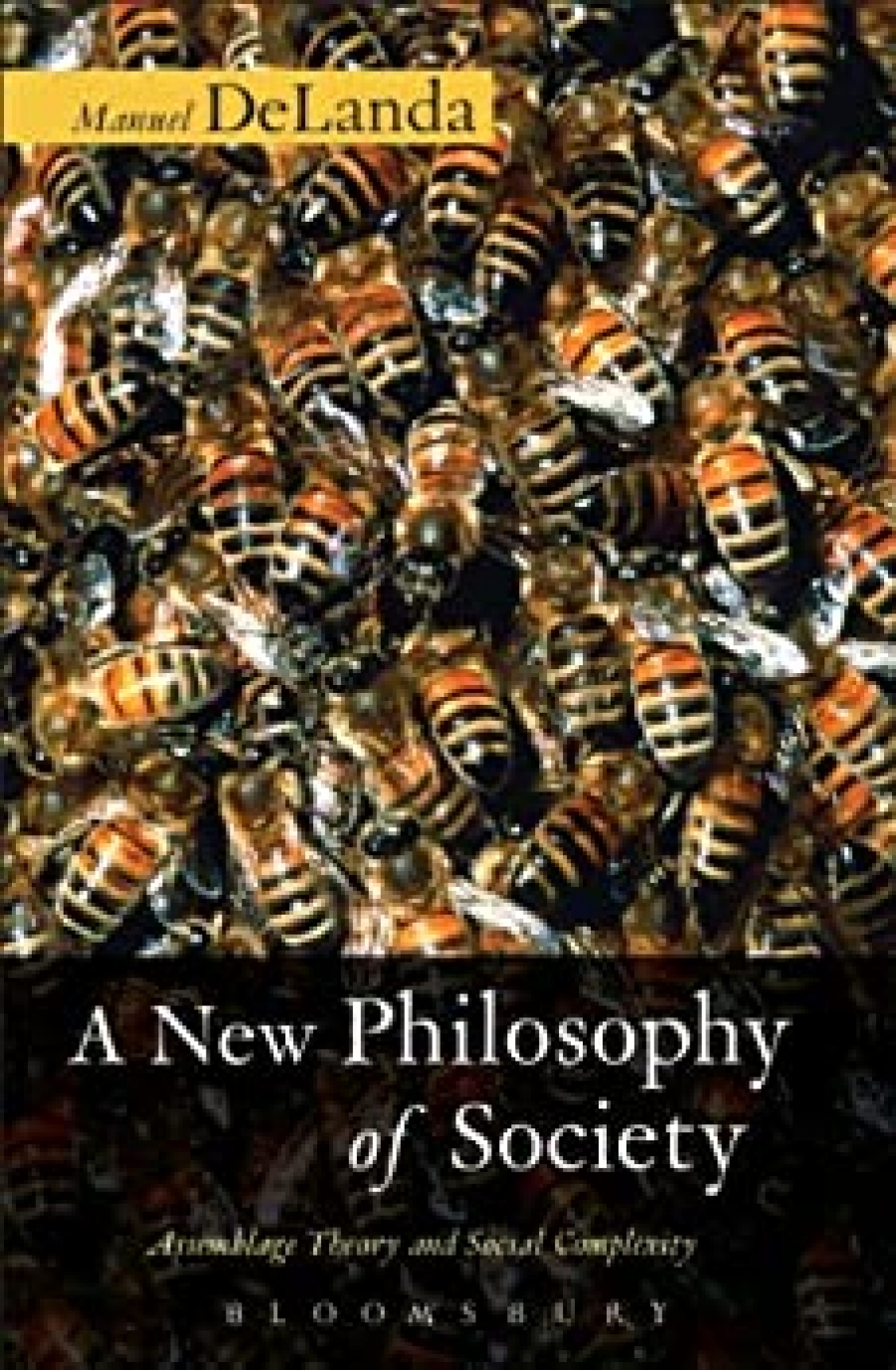 DeLanda,Manuel BR:New Philosophy of Society, A 